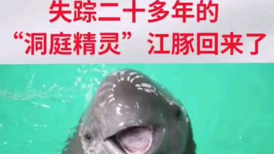 我又回啦了